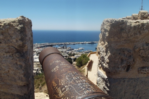 Kaap Bon-schiereiland: dagtour vanuit Tunis of Hammamet