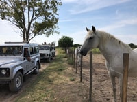 De Saintes Maries de la Mer, Safari y Panoeing - Housity