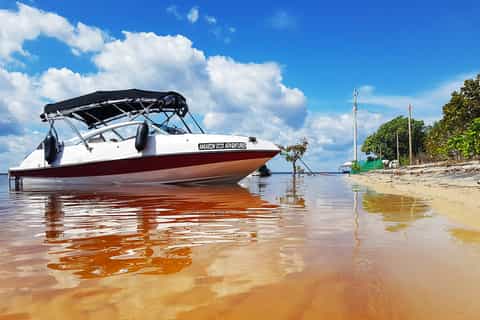 Manaus: Amazon River Small Group Speedboat Tour with Lunch