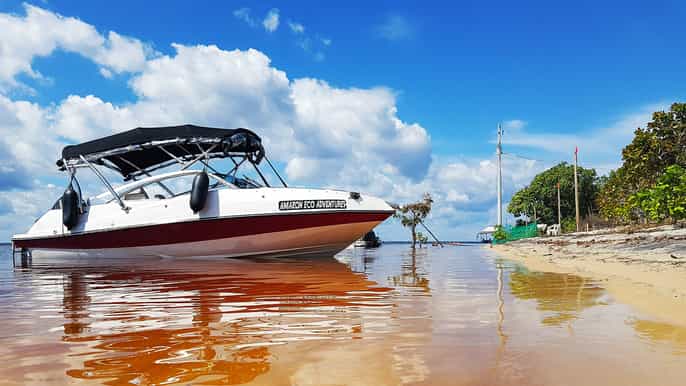 manaus amazon river small group speedboat tour with lunch