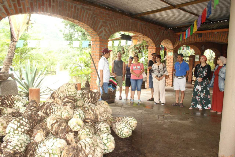 Puerto Vallarta: Tour della città, tour della Tequila e della fabbrica di caffèTour senza pranzo