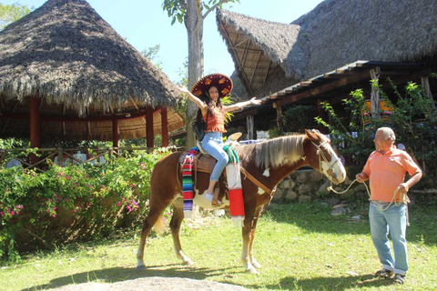 Puerto Vallarta: Tour della città, tour della Tequila e della fabbrica di caffèTour senza pranzo