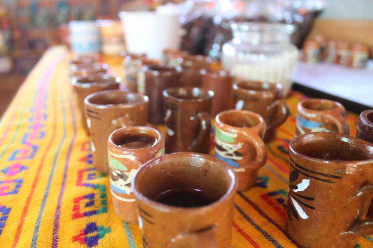 Puerto Vallarta: Tour della città, tour della Tequila e della fabbrica di caffèTour senza pranzo