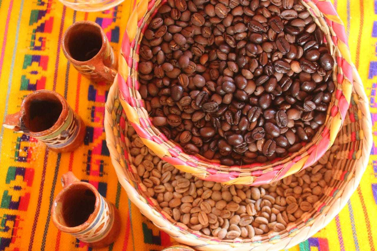 Puerto Vallarta: Tour della città, tour della Tequila e della fabbrica di caffèTour senza pranzo