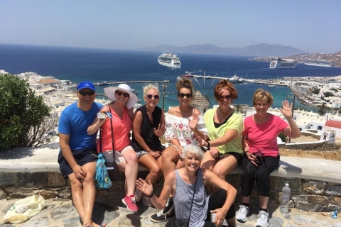Najważniejsze wydarzenia z Mykonos: Half-Day TourPrywatna wycieczka półdniowa