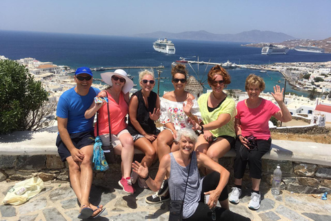 Mykonos: Halbtagestour zu den Highlights der InselPrivate Halbtagestour