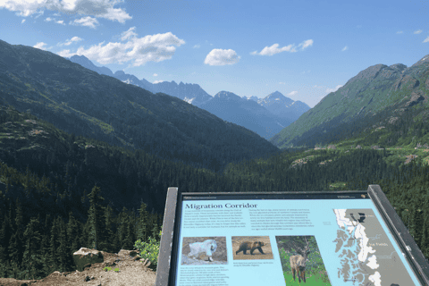 Skagway: 2-Hour Private White Pass Summit Tour
