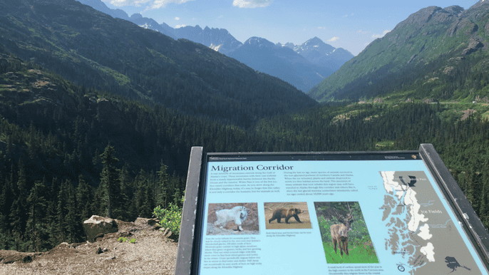 skagway 3hour private white pass summit tour