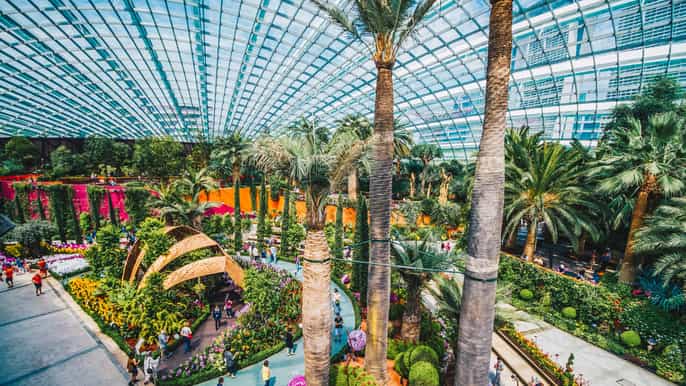 singapore gardens by the bay + ocbc skyway combo tickets