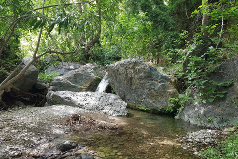 Richtis Waterfall and North Coast Tour