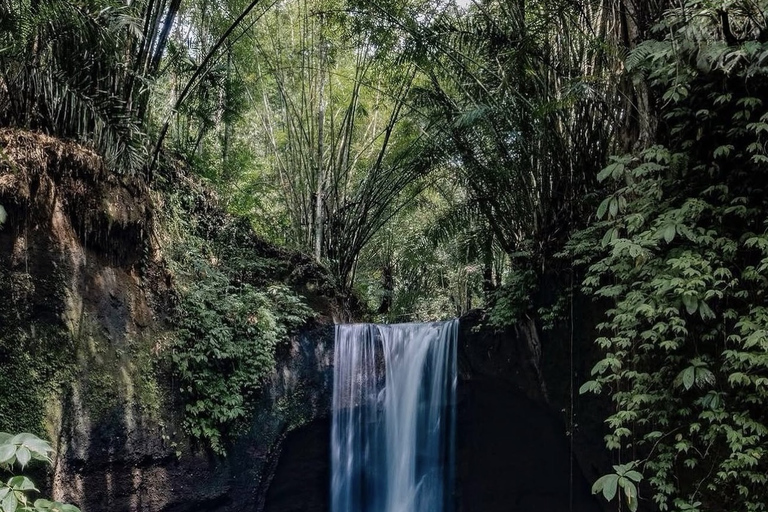 Ubud 3 Hidden Waterfalls & Tegalalang Rice Terrace Tour