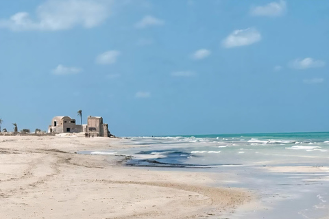 Djerba: Ride to the Pink Flamingo Peninsula by Electric Bike