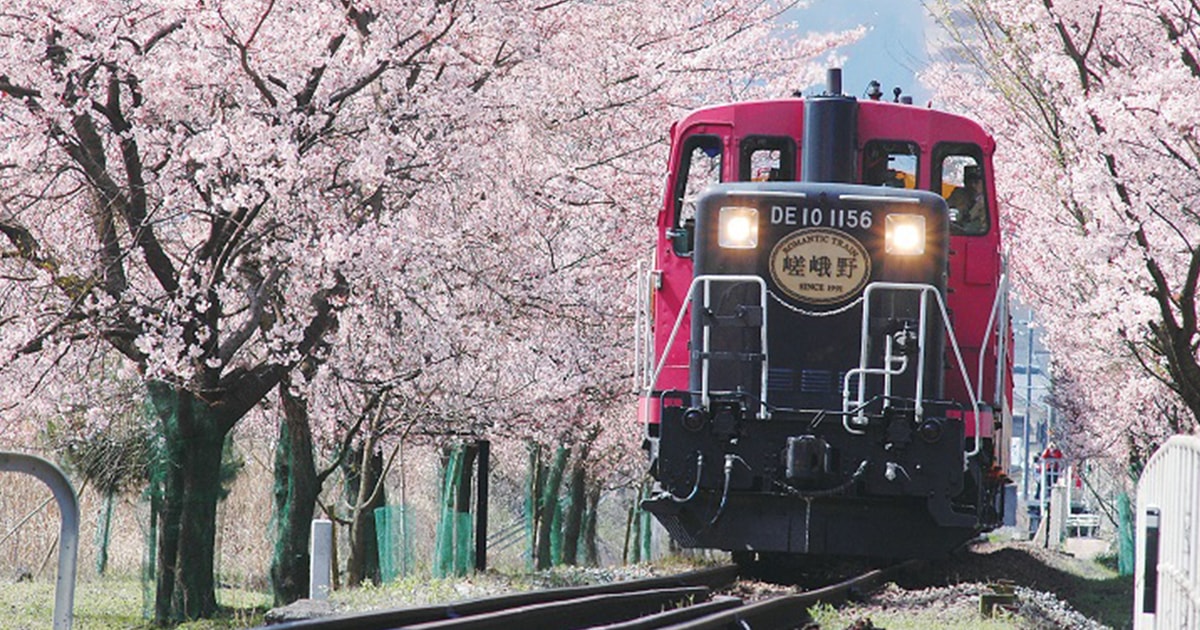 From Osaka Kyoto Sightseeing Day Trip and Scenic Train Ride Osaka