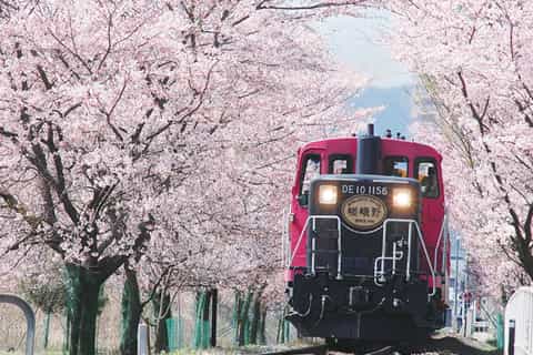 From Osaka: Kyoto Sightseeing Day Trip and Scenic Train Ride
