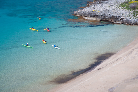 Kardamyli: Kayak de mer avec déjeuner