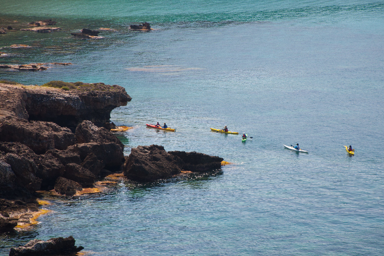 Kardamyli: kayak di mare con pranzo