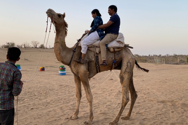 Safari à dos de chameau en demi-journée à Jodhpur avec dîner
