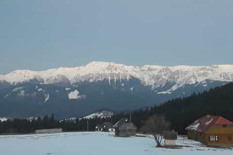 De Brasov: Excursão ao Parque Nacional e Vila Piatra Craiului