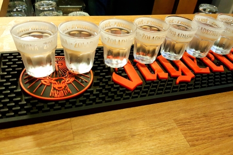 Lodz: Private Vodka Tasting Tour with Guide Lodz: Premium 4-Hour Private Vodka Tasting Tour with Guide