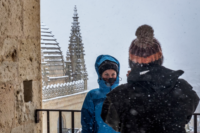 Ségovie : Visite guidée de la tour de la cathédraleVisite guidée de la Tour