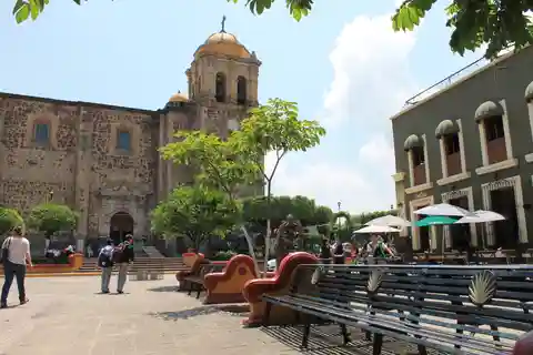 Tequila, Jalisco y Toriles de Puerto Vallarta