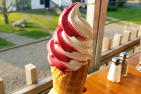 Quebec City: Island of Orléans Taste Trail