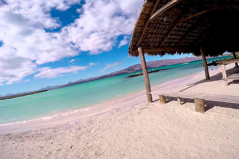 Loreto : Observation des baleines grises à Lopez Mateos