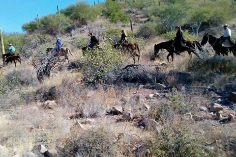 From Loreto: Baja Desert Horseback Riding Tour