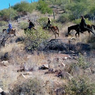 From Loreto: Baja Desert Horseback Riding Tour