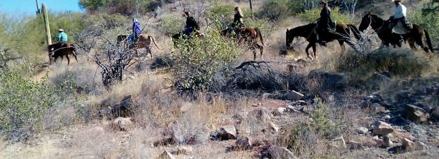 Depuis Loreto : Randonnée à cheval dans le désert de Baja