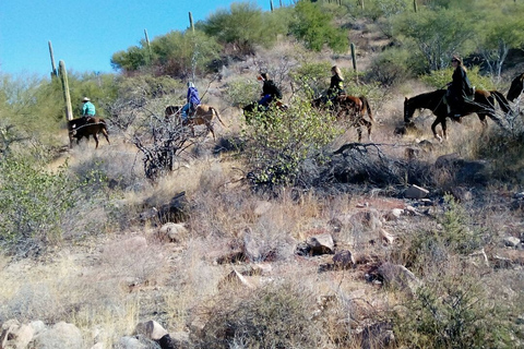 From Loreto: Baja Desert Horseback Riding Tour Loreto: Baja Desert Horseback Riding Tour