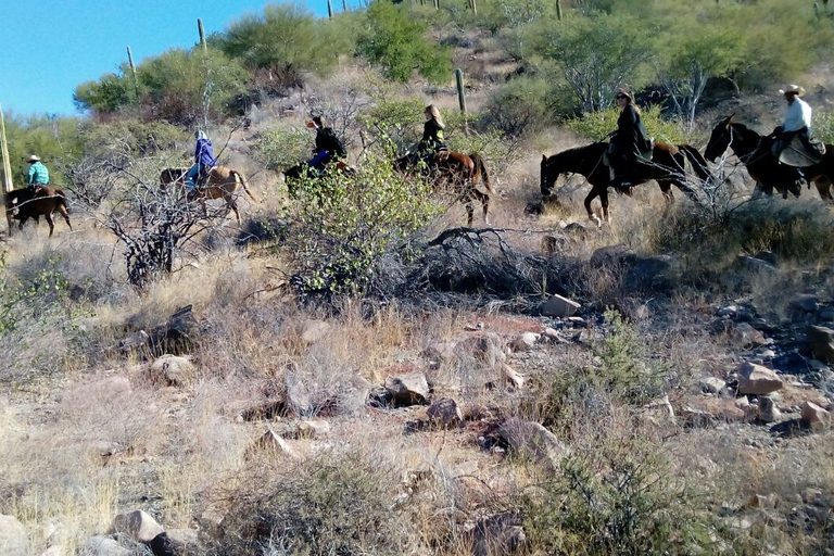From Loreto: Baja Desert Horseback Riding Tour Loreto: Baja Desert Horseback Riding Tour