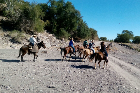 From Loreto: Baja Desert Horseback Riding Tour Loreto: Baja Desert Horseback Riding Tour