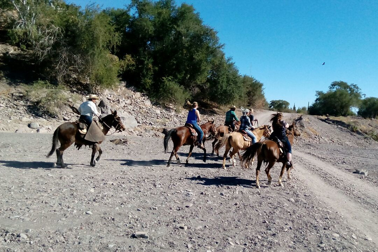 From Loreto: Baja Desert Horseback Riding Tour Loreto: Baja Desert Horseback Riding Tour