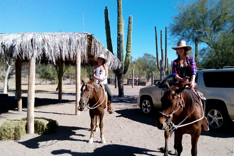 From Loreto: Baja Desert Horseback Riding Tour Loreto: Baja Desert Horseback Riding Tour