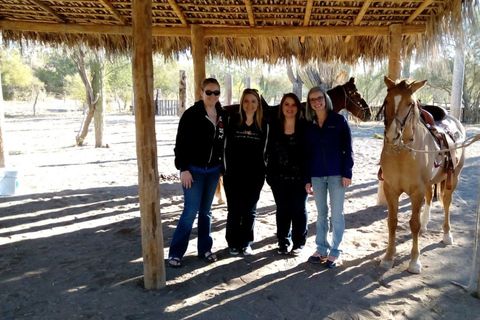 From Loreto: Baja Desert Horseback Riding Tour Loreto: Baja Desert Horseback Riding Tour
