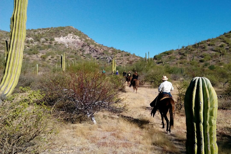 From Loreto: Baja Desert Horseback Riding Tour Loreto: Baja Desert Horseback Riding Tour