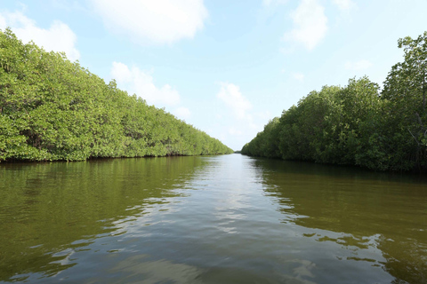 From Colombo: Negombo Lagoon (Mangrove )Boat ExcursionFrom Colombo: Negombo Lagoon Boat Excursion with Lunch