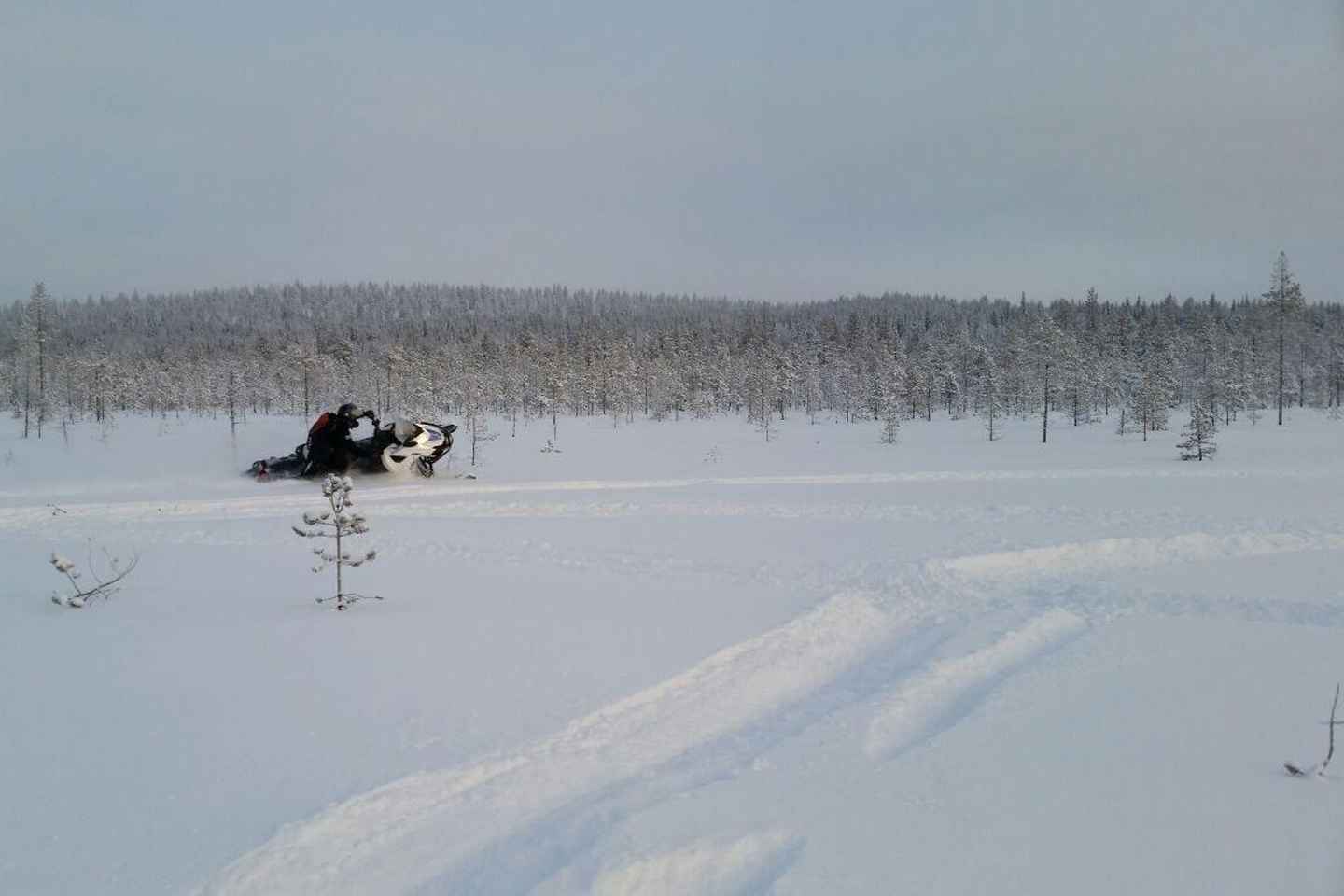 Rovaniemi: Backwoods Adventure Full Day Snowmobile Safari