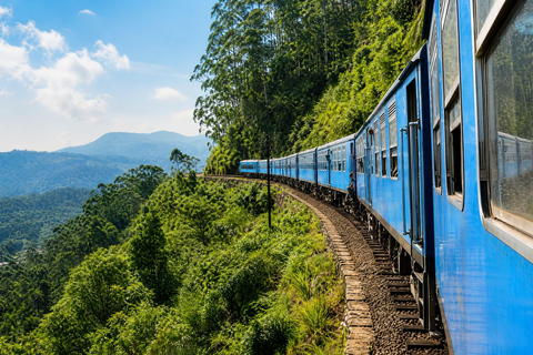 From Kandy: Ella Private Drop-Off & Nanu Oya Train Ride