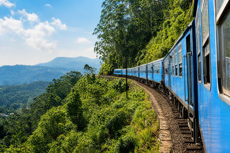 From Kandy: Ella Private Drop-Off & Nanu Oya Train Ride