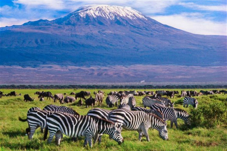 Nairobi: 2-Day Amboseli National Park Safari with Meals