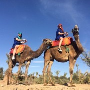 Majorelle Garden and Palmeraie Camel Ride Tour
