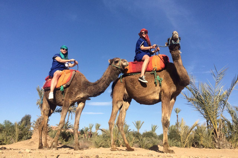 Majorelle Garden and Palmeraie Camel Ride Tour