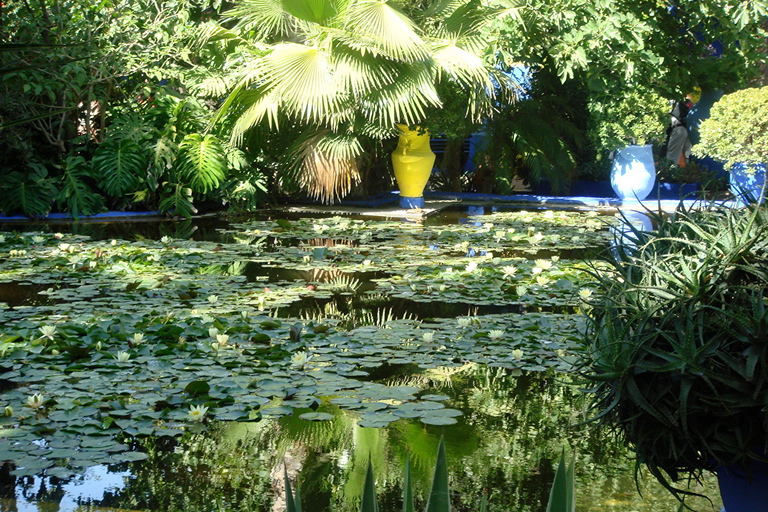 Majorelle Garden and Palmeraie Camel Ride Tour