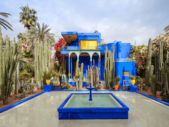 Marrakesch: Jardin Majorelle und Palmeraie Kamelritt Marrakesch: Jardin Majorelle und Palmeraie Kamelritt
