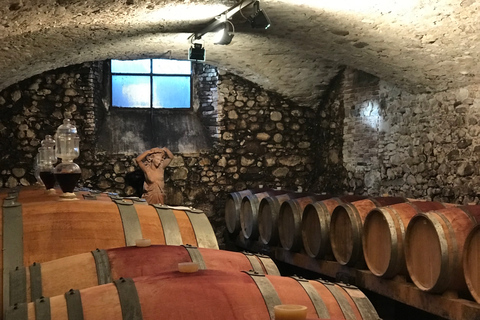 Florence: excursion privée d'une journée dans les vignobles du Chianti en Toscane avec déjeuner