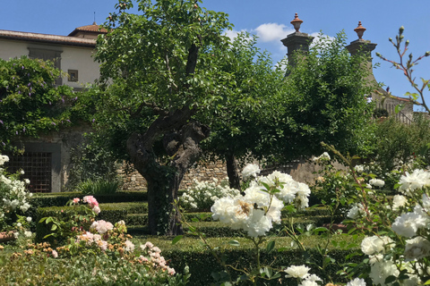 Florence: excursion privée d'une journée dans les vignobles du Chianti en Toscane avec déjeuner