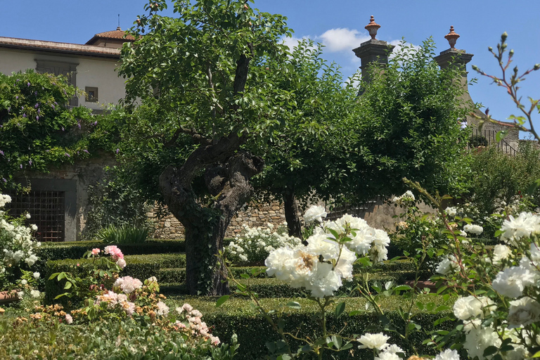 Florence: excursion privée d'une journée dans les vignobles du Chianti en Toscane avec déjeuner