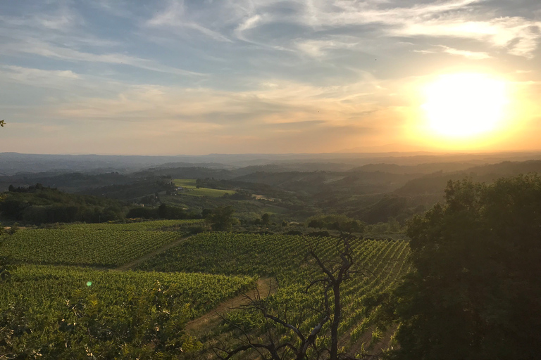 Florence: excursion privée d'une journée dans les vignobles du Chianti en Toscane avec déjeuner